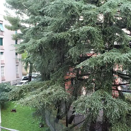Appartamento Casa My - 14 Minuti Dal Centro - 5 Minuti A Piedi Dal Gaslini *